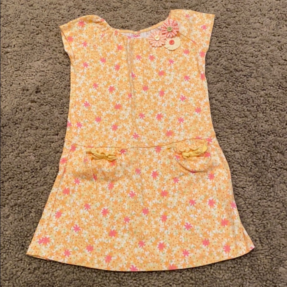 Vintage Gymboree freshly picked flower dress